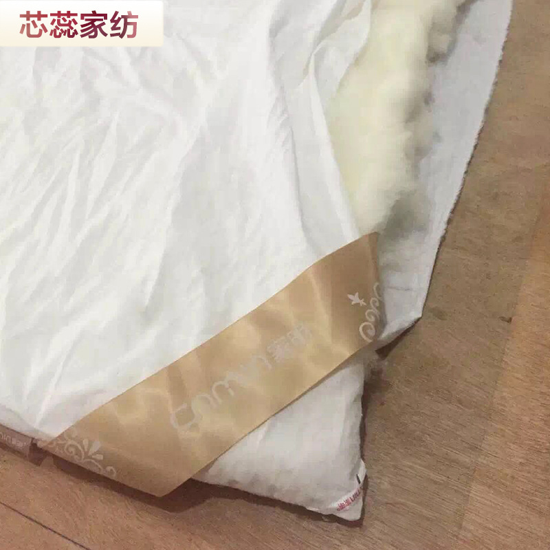時尚棉花被子廠傢直銷禮品棉被加厚春秋被芯胎傢紡特價工廠,批發,進口,代購