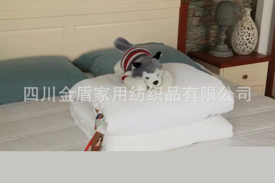 床上用品 新款尊貴天絲冬被 加厚冬被 棉被 單人雙人 批發特價批發・進口・工廠・代買・代購