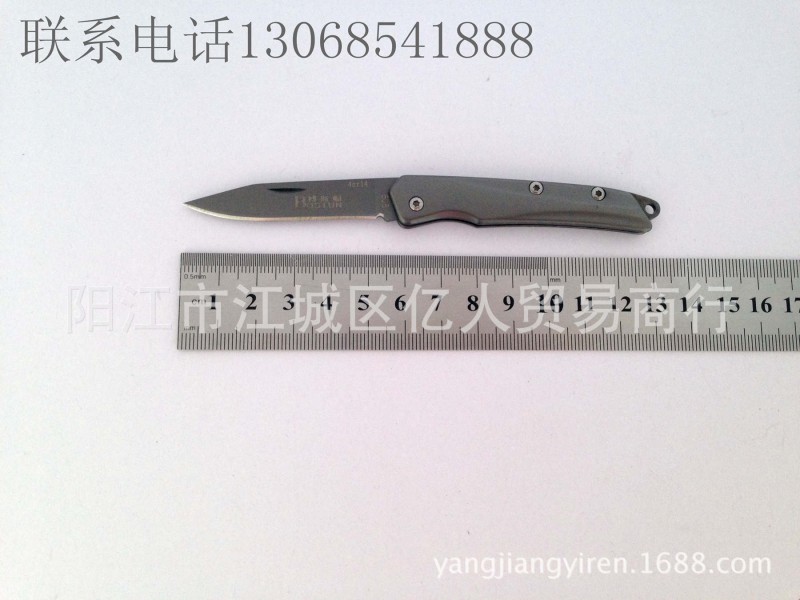 戶外野營迷你折疊小刀 2014新款禮品小刀 不銹鋼實用水果刀工廠,批發,進口,代購
