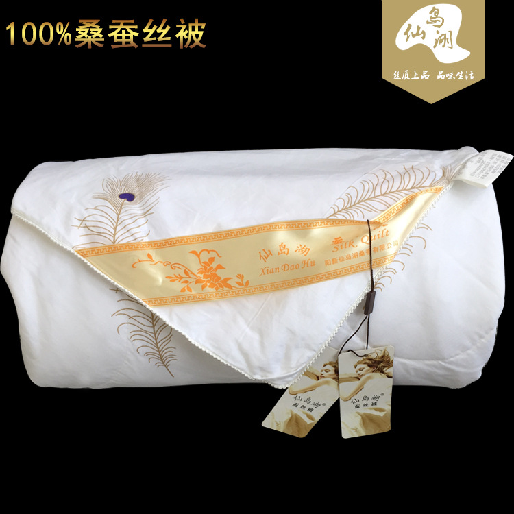 特級100%真絲純天然桑蠶絲被單雙人春秋冬被芯批發廠傢直銷批發・進口・工廠・代買・代購