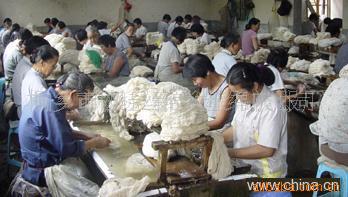 供應特級雙宮桑蠶絲 手工絲綿（綿兜） 蠶絲被原料工廠,批發,進口,代購