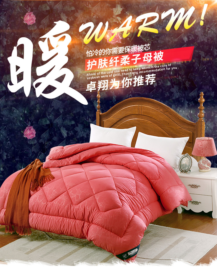 卓翔冬天被芯母子被加厚保暖春秋被子單雙人被芯禮品批發一件代發工廠,批發,進口,代購