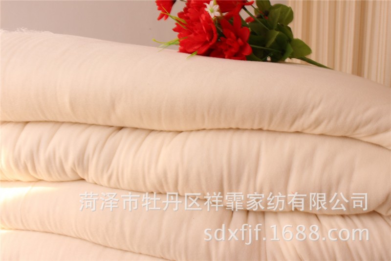 特價專業直供優質棉胎被子 棉絮棉被 8斤裝冬季保暖天然棉花被批發・進口・工廠・代買・代購