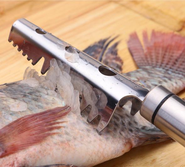 304不銹鋼魚鱗刨 刮魚鱗器 魚鱗刷 廚房小工具批發・進口・工廠・代買・代購
