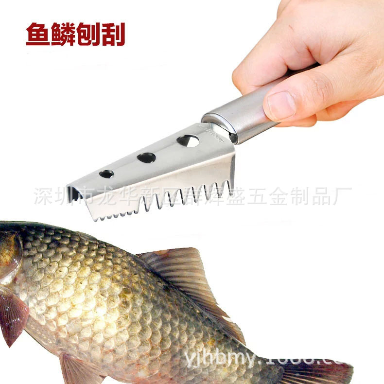 不銹鋼刮魚鱗器魚鱗刨 廚房小工具手動刷魚鱗現貨批發批發・進口・工廠・代買・代購