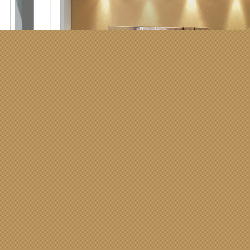南通廠傢直銷珠光棉保健枕芯套 單人雙人保健枕芯套（不含填沖）批發・進口・工廠・代買・代購