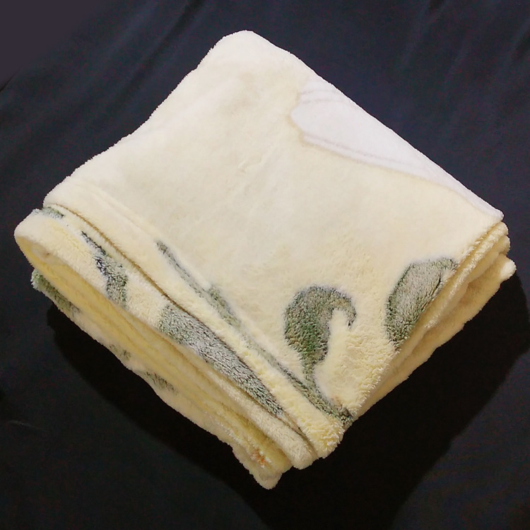 9.9元十元店貨源 傢居用品 床上用品 超柔加厚秋冬印花毛毯 毛毯批發・進口・工廠・代買・代購