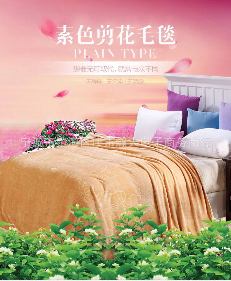 一件代發毛毯珊瑚絨 毛毯拉舍爾 毛毯美人魚 毛毯法萊絨 毛毯加厚批發・進口・工廠・代買・代購
