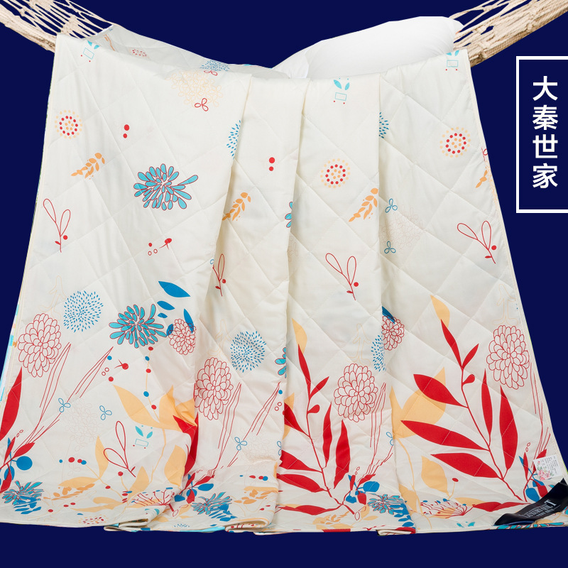 限時大促地攤熱賣款夏涼被 禮品空調被印花薄被子磨毛夏被批發工廠,批發,進口,代購