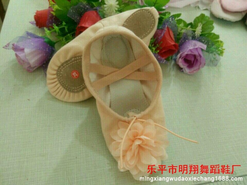 兒童舞蹈鞋軟底帶花芭蕾舞鞋成人練功舞鞋跳舞鞋子瑜伽鞋貓爪鞋女工廠,批發,進口,代購