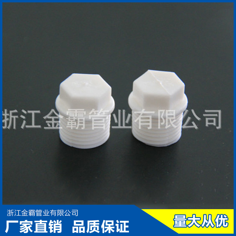 廠傢批發供應PPR接頭配件帶絲堵頭 PPR熱熔堵頭PPR水管堵頭工廠,批發,進口,代購