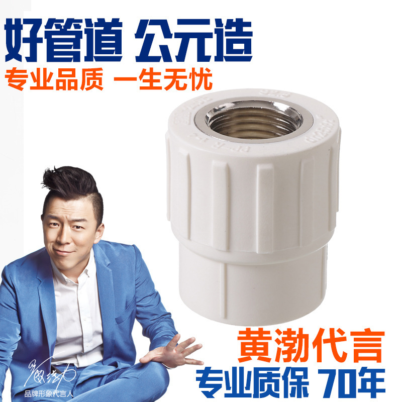 ERA公元 工裝皓白系列PPR管件 內螺紋管套工廠,批發,進口,代購