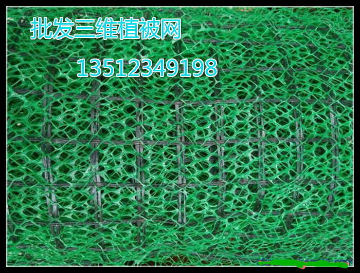 供應重慶四川貴州護坡綠化三維植被網固土三維土工網網墊植草護坡批發・進口・工廠・代買・代購