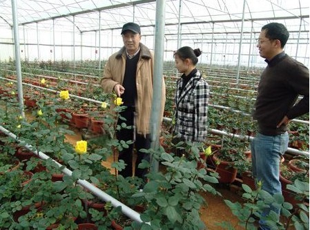 敦煌塑料溫室用陽光板 平涼花圃暖房采光板 張掖花卉溫室PE保溫膜批發・進口・工廠・代買・代購