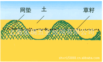 上海供應220克三維植被網，三維土工網，雙向纖維格柵，單向格柵批發・進口・工廠・代買・代購