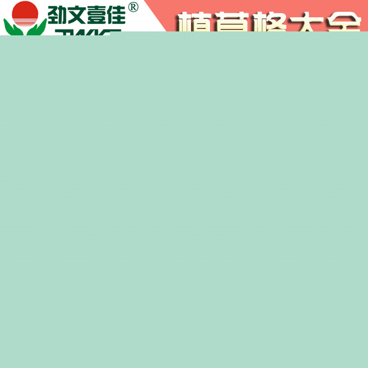 廠傢直銷園林綠化停車場消防通道塑料40植草格 量大從優批發・進口・工廠・代買・代購