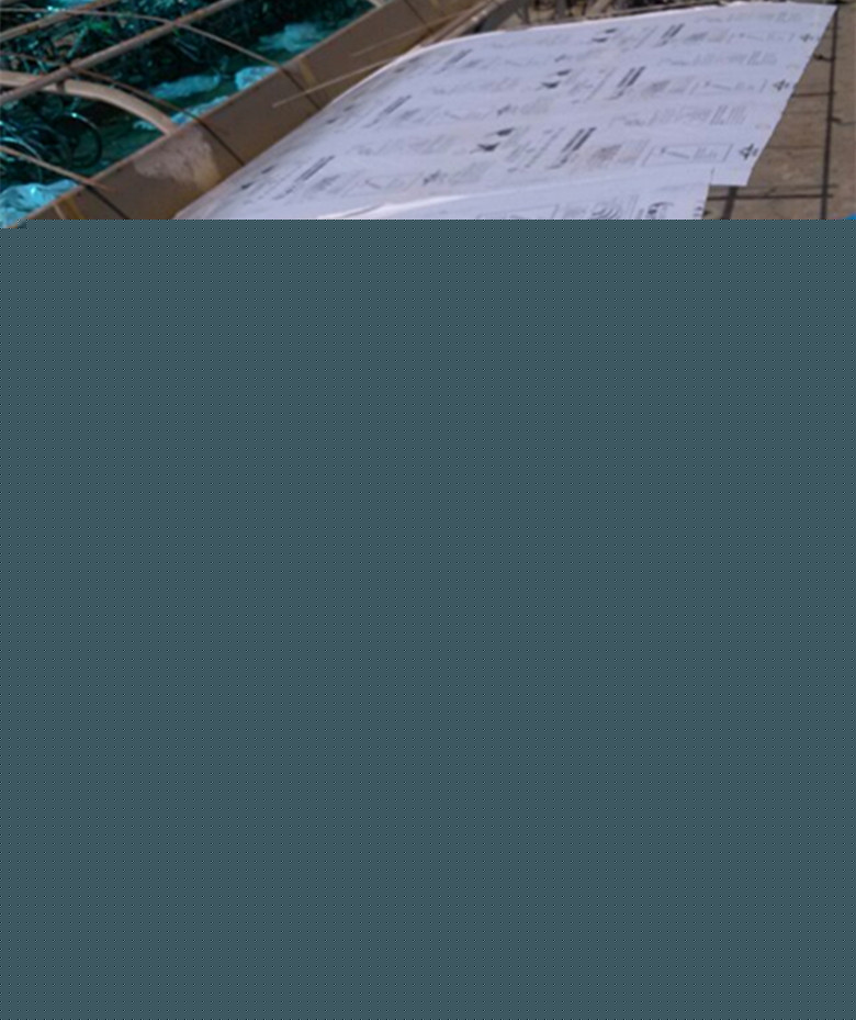 廠傢批發定做PC透明草綠湖蘭遮陽中空陽光板  防紫外線 一件代發批發・進口・工廠・代買・代購
