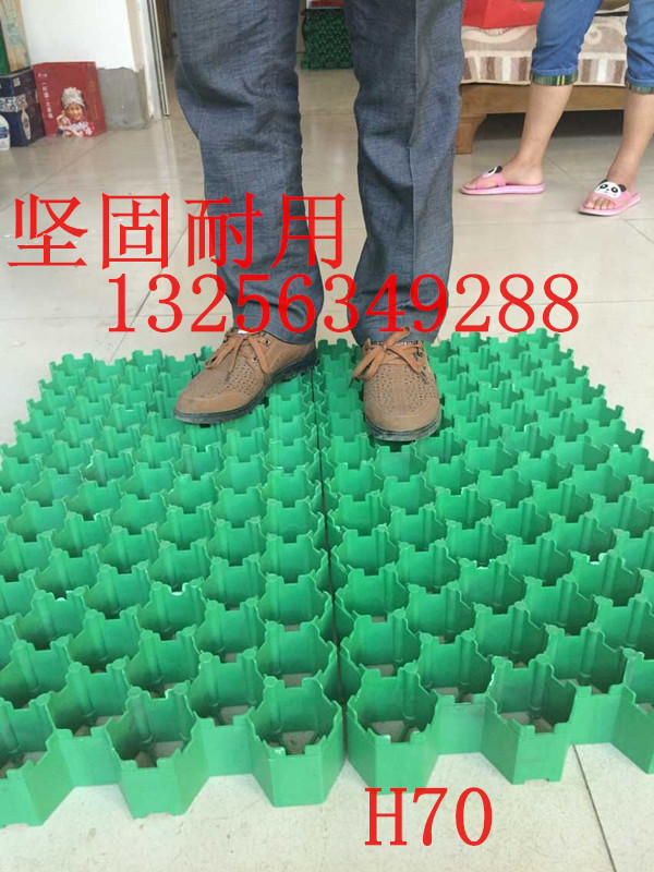 塑料植草格 壽命長 抗壓能力強植草板 穩定性強植草格工廠,批發,進口,代購