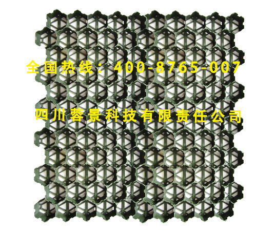 四川蓉景廠傢銷售塑料植草格綠化生態停車場植草格量大從優工廠,批發,進口,代購