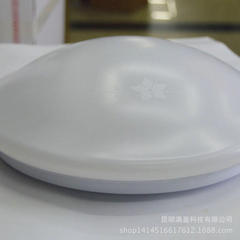 金河源雲南貴州四川廣西昆明18W工程款省電的亞克力LED吸頂燈批發・進口・工廠・代買・代購