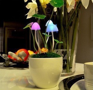 阿凡達蘑菇燈LED盆栽小夜燈 感應燈安睡燈廠傢直銷批發・進口・工廠・代買・代購