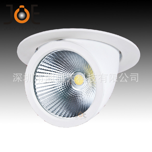 LED象鼻燈射燈筒燈COB 20Ｗ 30W可旋轉商照筒燈足功率正品批發批發・進口・工廠・代買・代購