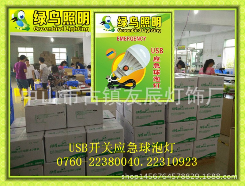綠鳥照明36V應急球泡燈帶按鈕開關USB線插口馬約特工廠,批發,進口,代購