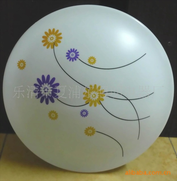 供應吸頂燈，天花燈，筒燈批發・進口・工廠・代買・代購