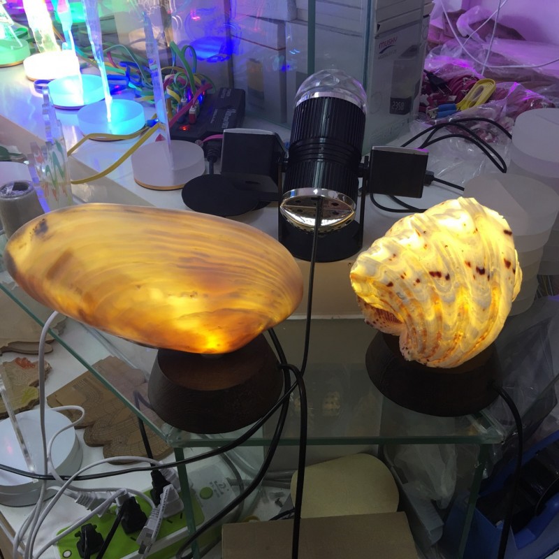 led小夜燈創意貝類節能裝飾燈 木質貝殼led小夜燈 led禮物小夜燈批發・進口・工廠・代買・代購