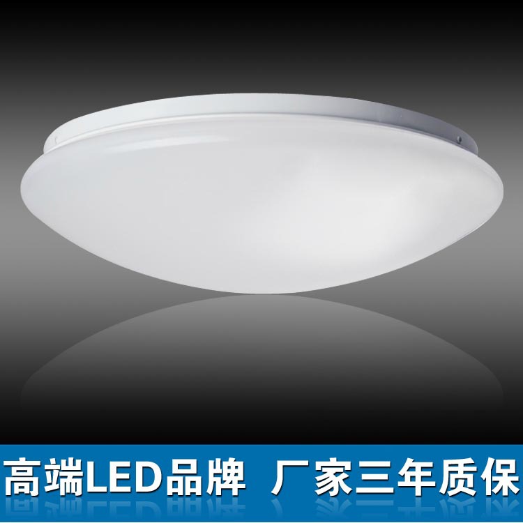吸頂燈LED吸頂燈 簡約吸頂燈 臥室吸頂燈批發 廠傢直銷 批發 代理工廠,批發,進口,代購