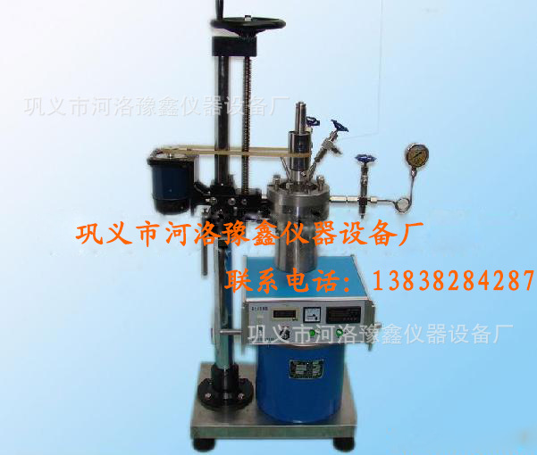 【廠傢生產直銷】小型升降高壓反應釜FCF-2L型工廠,批發,進口,代購