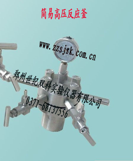 簡易高壓反應釜300ml工廠,批發,進口,代購
