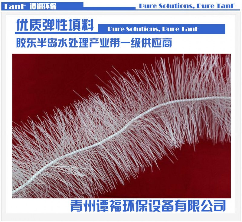 廠傢直銷譚福TL型立體彈性填料|質量保證價格優惠|掛膜快效果好工廠,批發,進口,代購