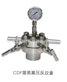 廠價直銷 CDF型 簡易 不銹鋼 高壓反應釜 304不銹鋼工廠,批發,進口,代購