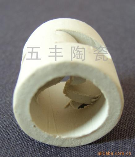 陶瓷鮑爾環  Ceramic Poll Ring工廠,批發,進口,代購