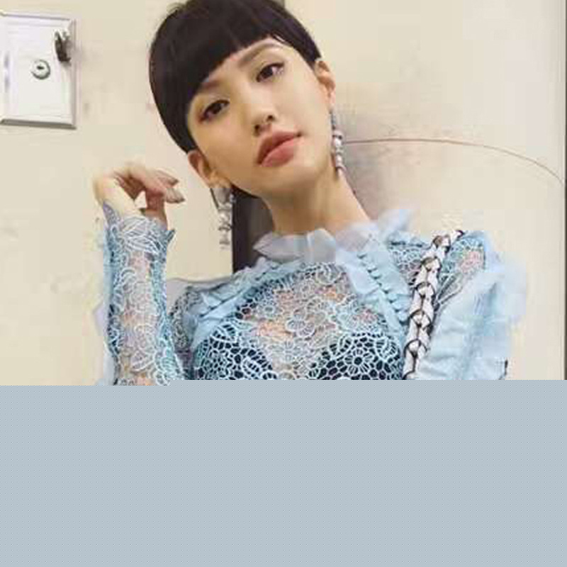 Self-Portrait同款 2017早春女裝新款歐美風鏤空勾花拼接網紗上衣批發・進口・工廠・代買・代購