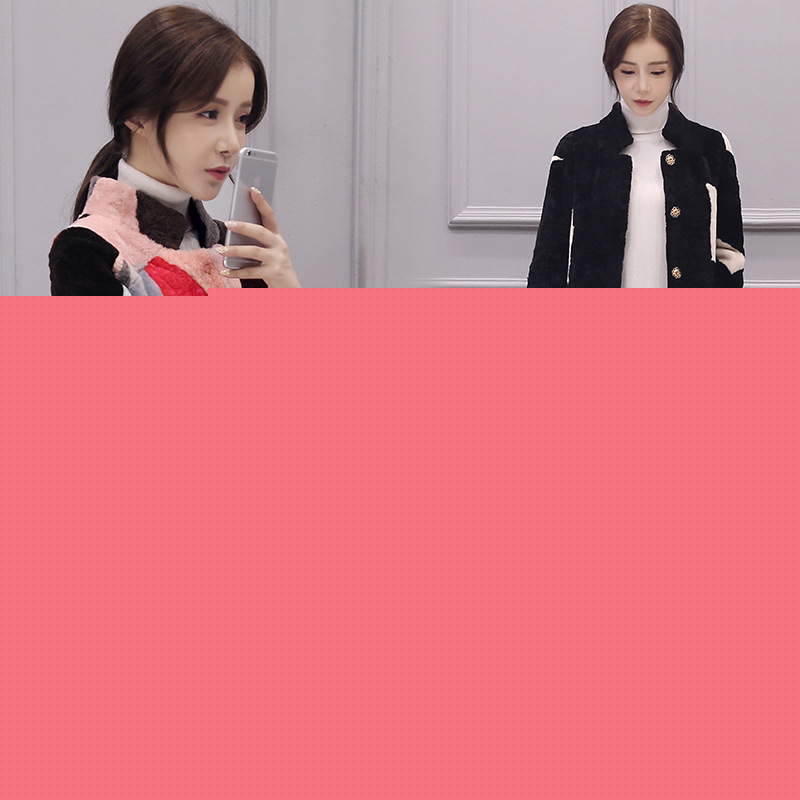 2016冬季新款韓版立領羊皮毛一體大衣 女皮草外套女中長款工廠,批發,進口,代購