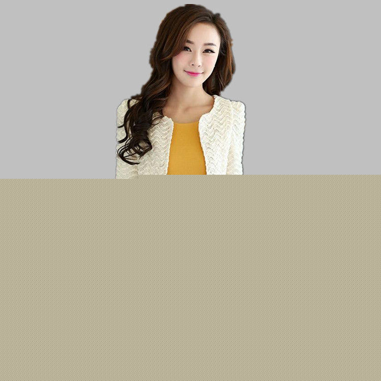 2014秋裝新款 韓版女裝 氣質修身背心裙長袖兩件套連衣裙工廠,批發,進口,代購