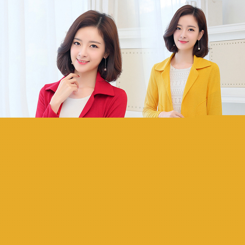 2017春裝新款女士小西服短款休閒韓版小西裝外套修身早春開衫批發・進口・工廠・代買・代購