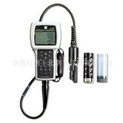 美國YSI 多參數水質測量機 型號：YSI 556MPS工廠,批發,進口,代購