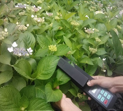 LAM-G活體葉麵積測量機工廠,批發,進口,代購