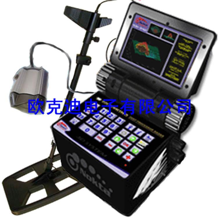 原進口土耳其可視黃金王NOKTA GOLD KING 3D地下金屬探測器工廠,批發,進口,代購