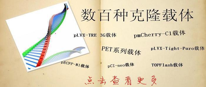 哺乳動物雙雜交載體系統圖譜,序列,價格,抗性,大小詳細信息工廠,批發,進口,代購