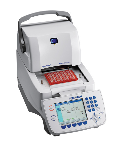 Eppendorf Mastercycler pro 梯度PCR機工廠,批發,進口,代購