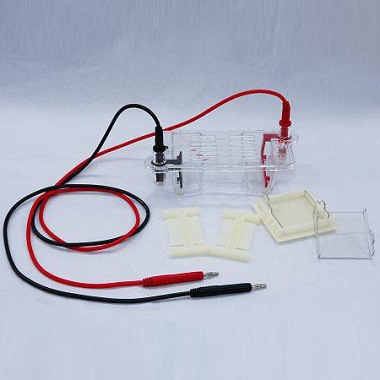 北京六一DYCP-31BN瓊脂糖水平電泳機 電泳槽批發・進口・工廠・代買・代購