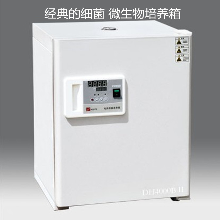 供應津泰斯 電熱恒溫培養箱DH4000Ⅱ 經典細菌 微生物培養箱工廠,批發,進口,代購
