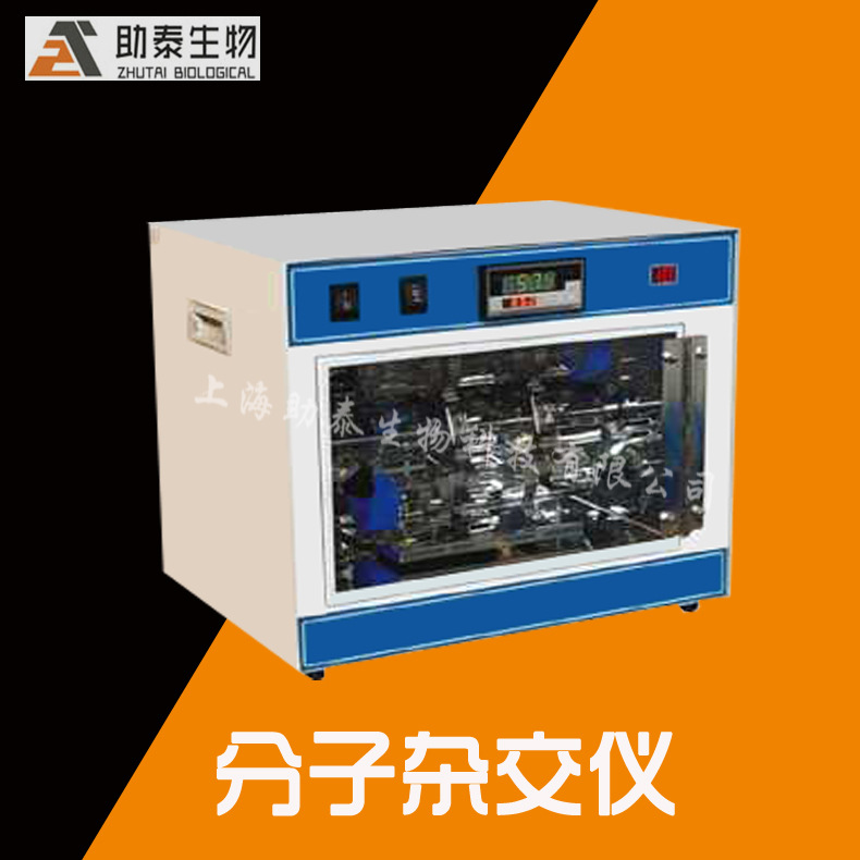 分子雜交機LF-II 分子雜交爐上海廠傢/實驗室科研機器分子雜交爐工廠,批發,進口,代購
