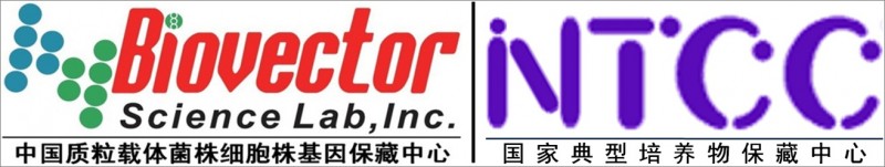 401 pSG5L批發・進口・工廠・代買・代購