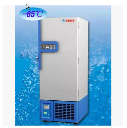 DW-GL538 中科美菱 -65℃超低溫冷凍儲存箱 低溫冰箱工廠,批發,進口,代購