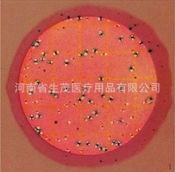 3M大腸菌群大腸桿菌測試片6414工廠,批發,進口,代購